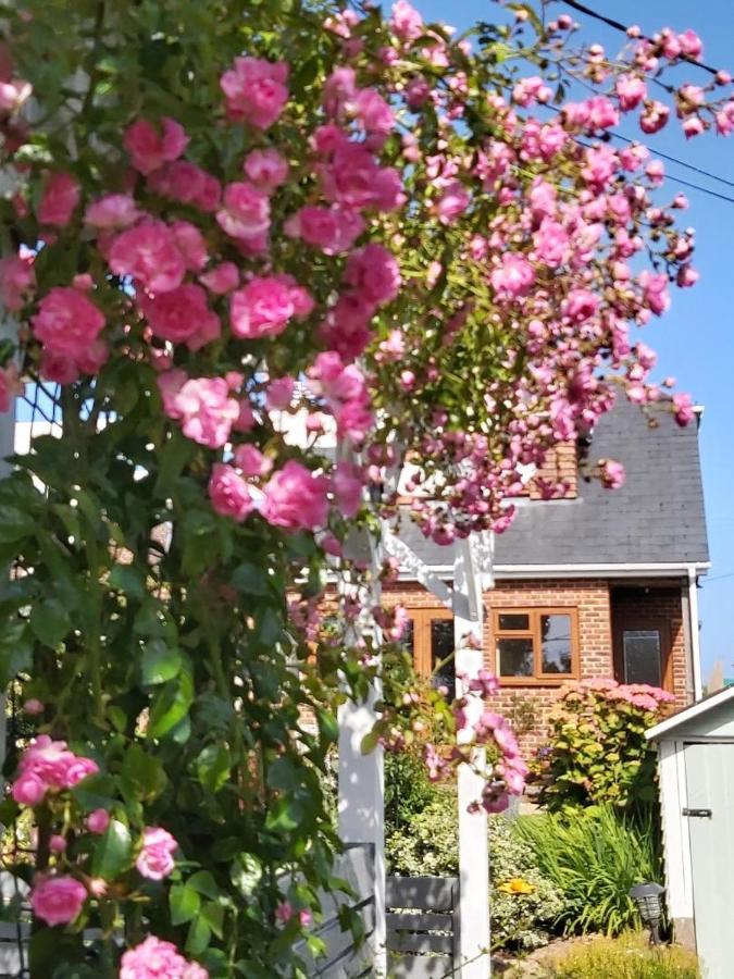 Bed and Breakfast The Gem Winchelsea Exterior foto
